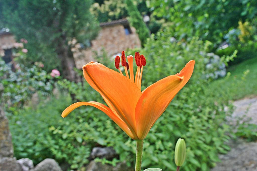 Finca El Carpintero ヘルテ エクステリア 写真