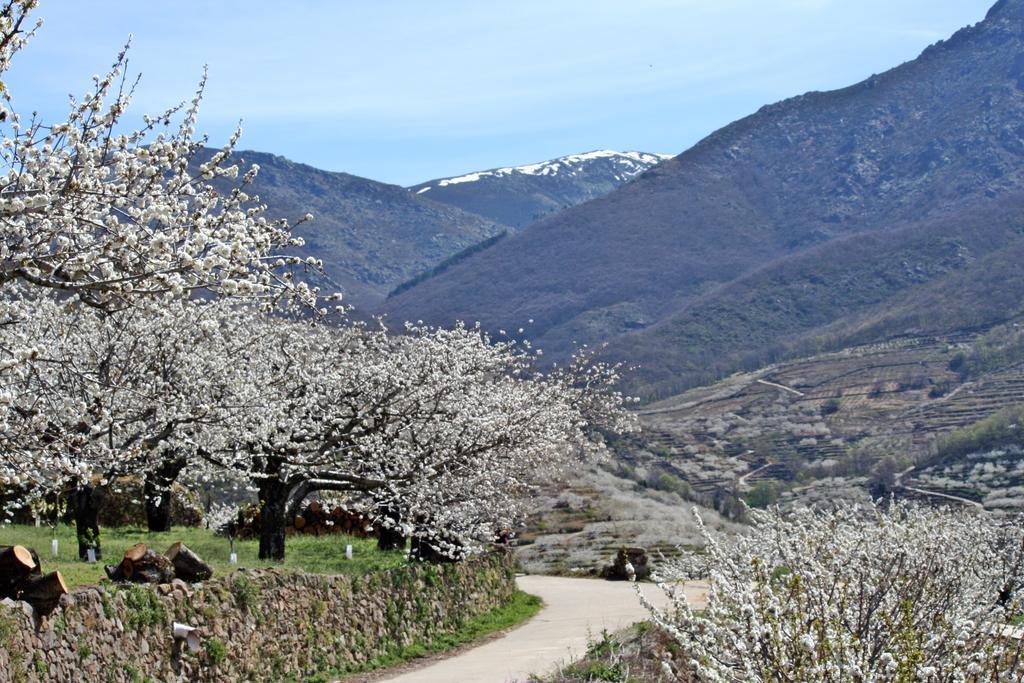 Finca El Carpintero ヘルテ エクステリア 写真