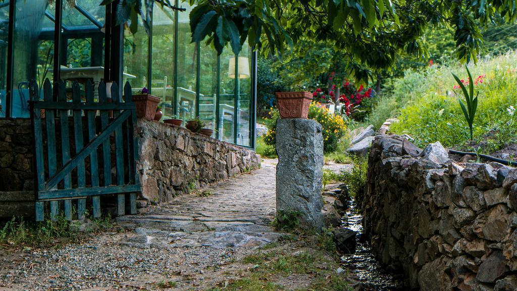 Finca El Carpintero ヘルテ エクステリア 写真